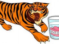 Toothless tiger