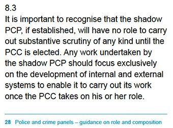 P.28 PCP - Guidance on role and composition