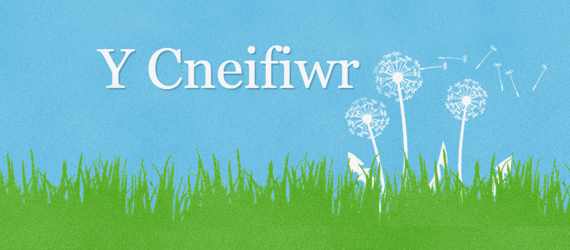 Cneifiwr calls it a day